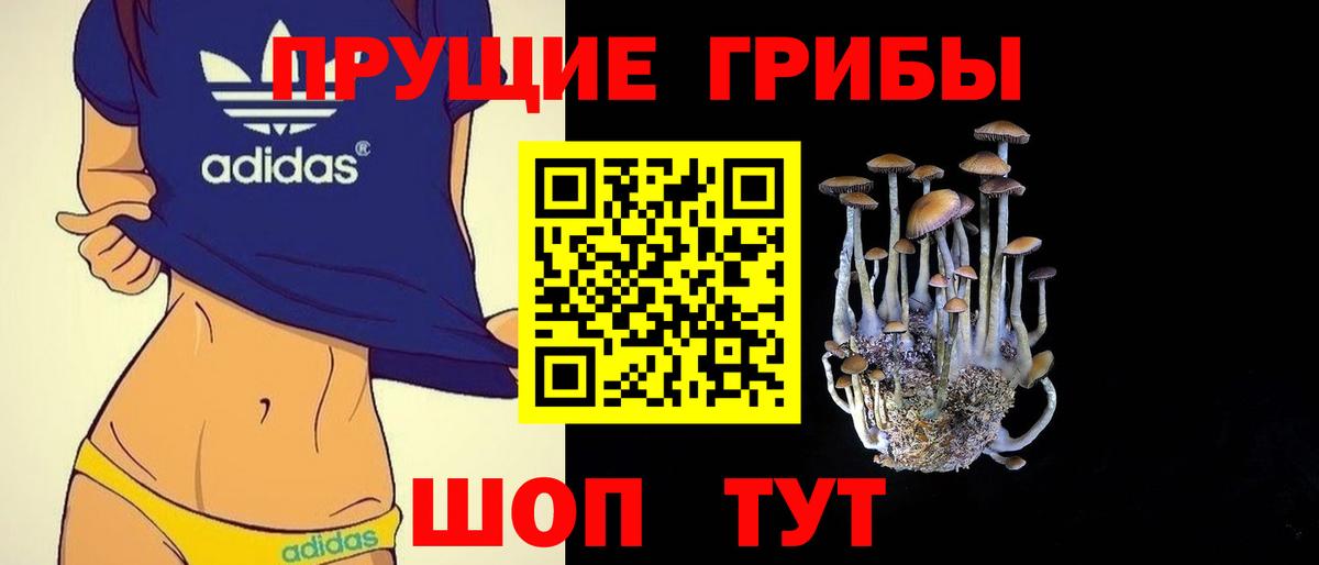 Псилоцибиновые грибы Psilocybe Мичуринск